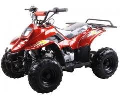 110cc Four Wheelers 6