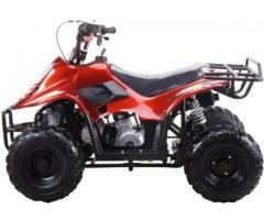 110cc Four Wheelers 6