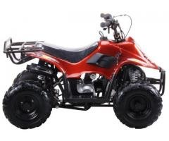 110cc Four Wheelers 6
